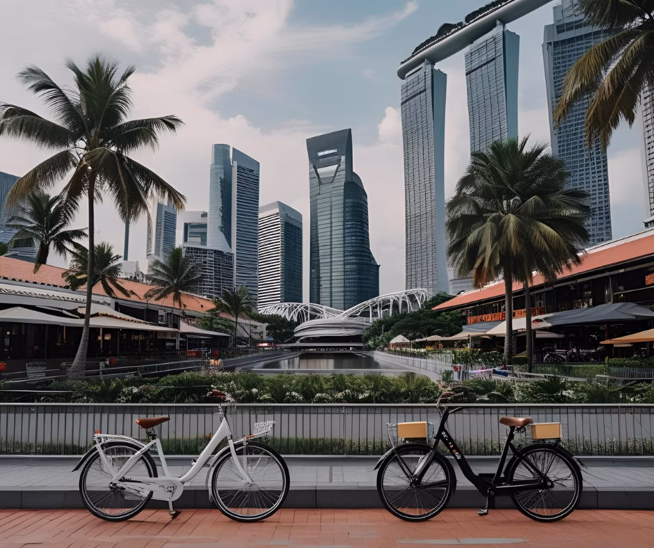 Cycling culture