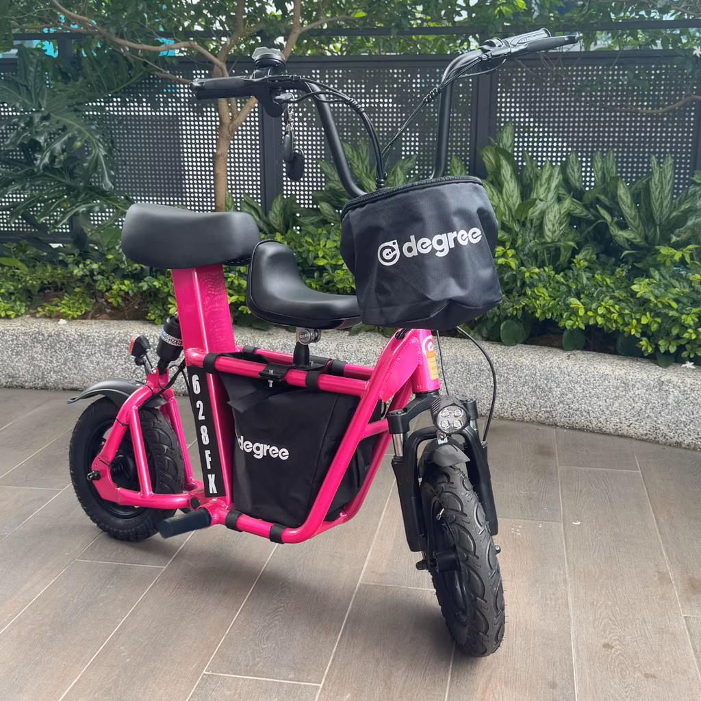 Electric Scooter eDegree FS1